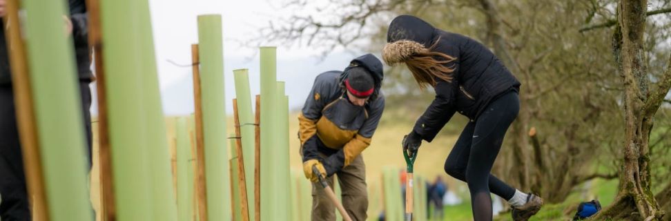 Raise Cumbria Low Res 2406